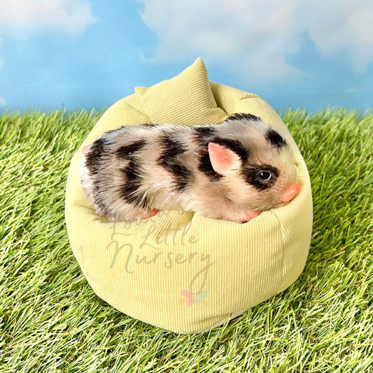 Mini Bean Bag