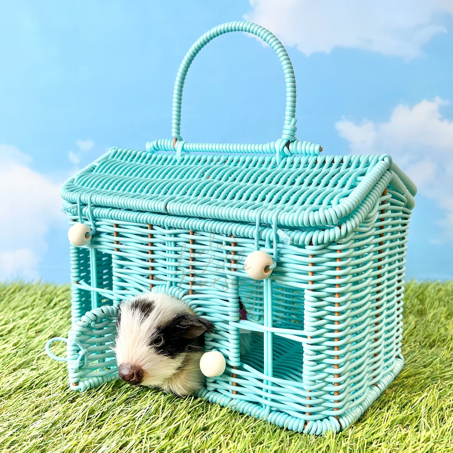 Wicker Carry House