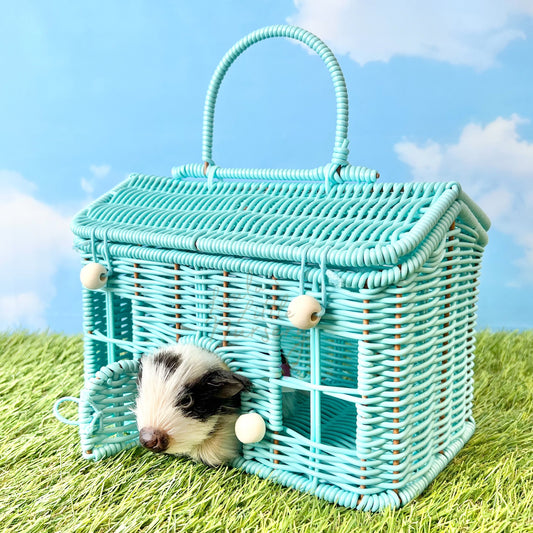 Wicker Carry House