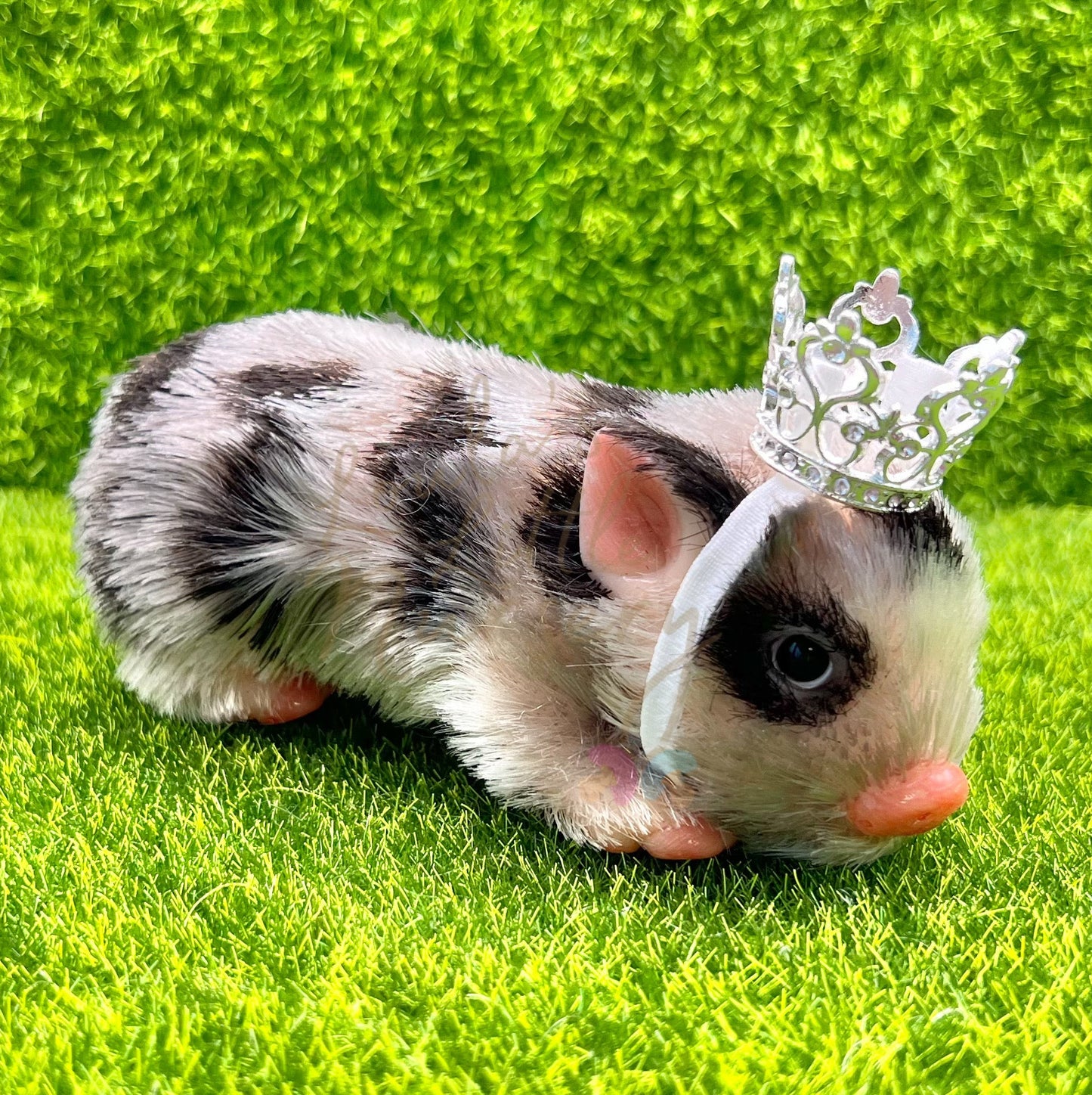 Adjustable Mini Crown