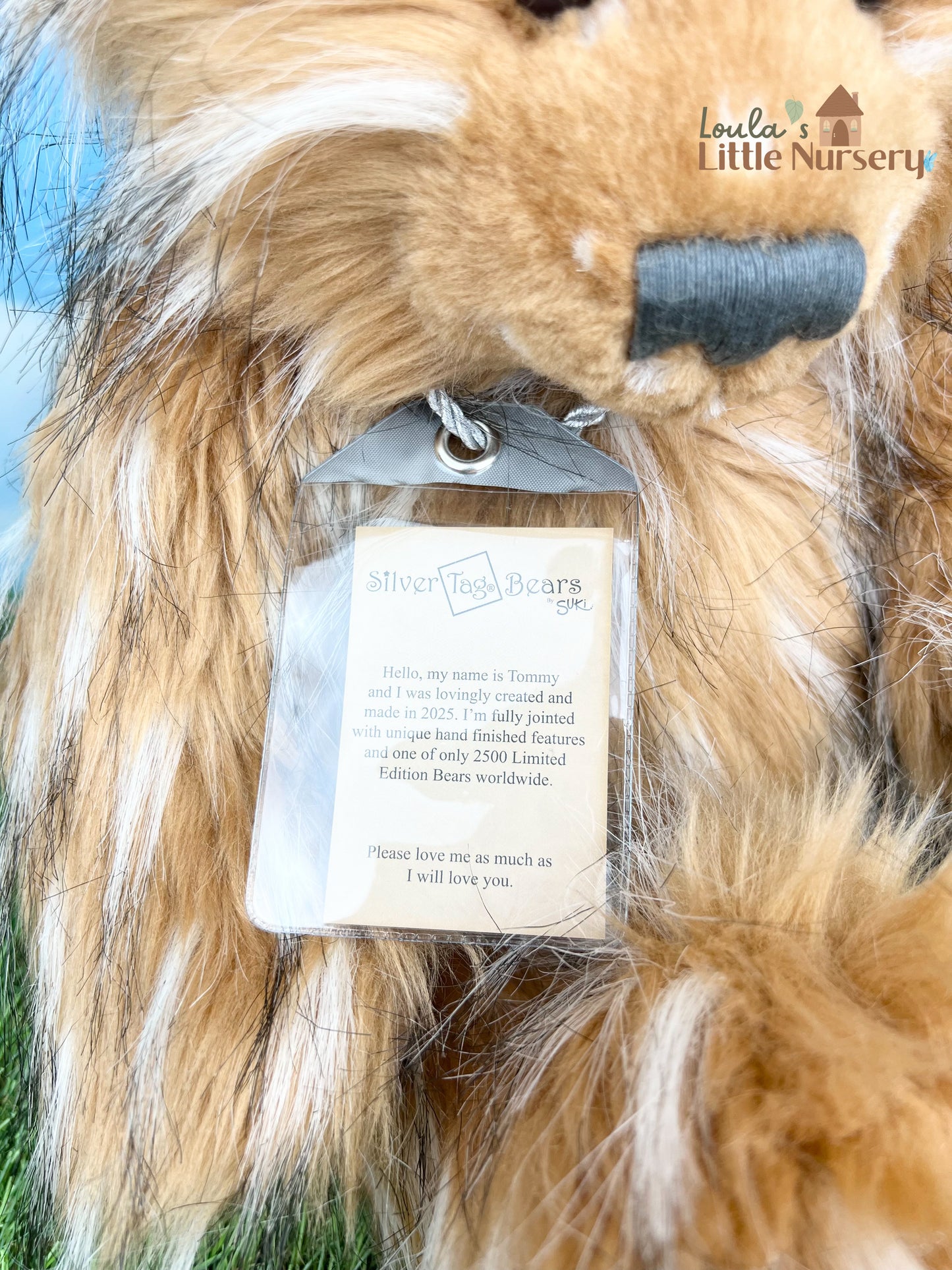Tommy – Silver Tag® Bear