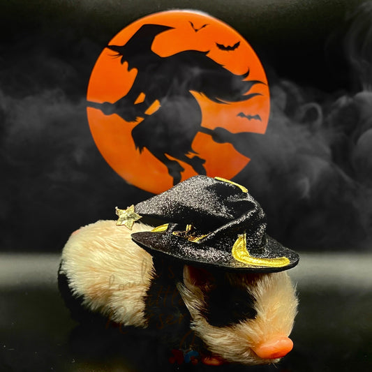 Trick Or Treat Wizard Hat