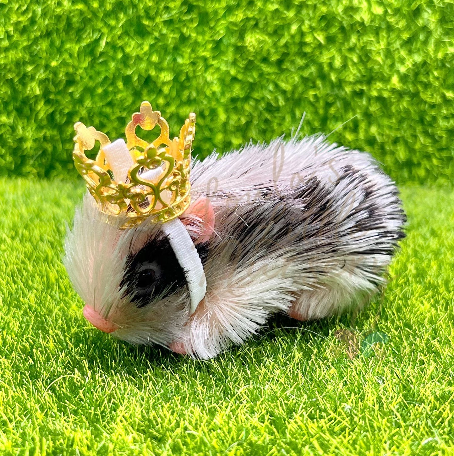 Adjustable Mini Crown