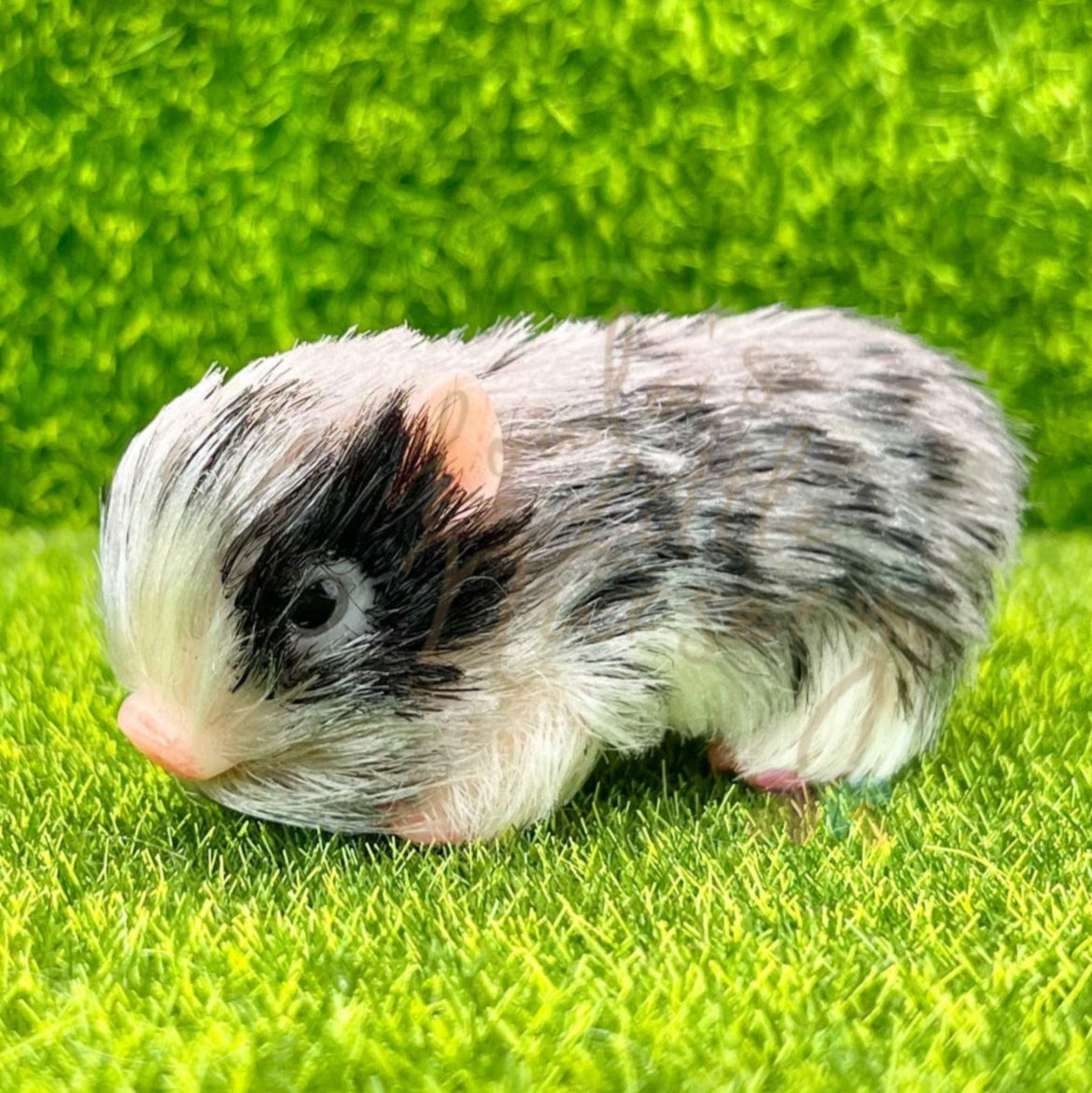 Baby Triple Tone Piglet - Teeny Weenie Babies Collection®