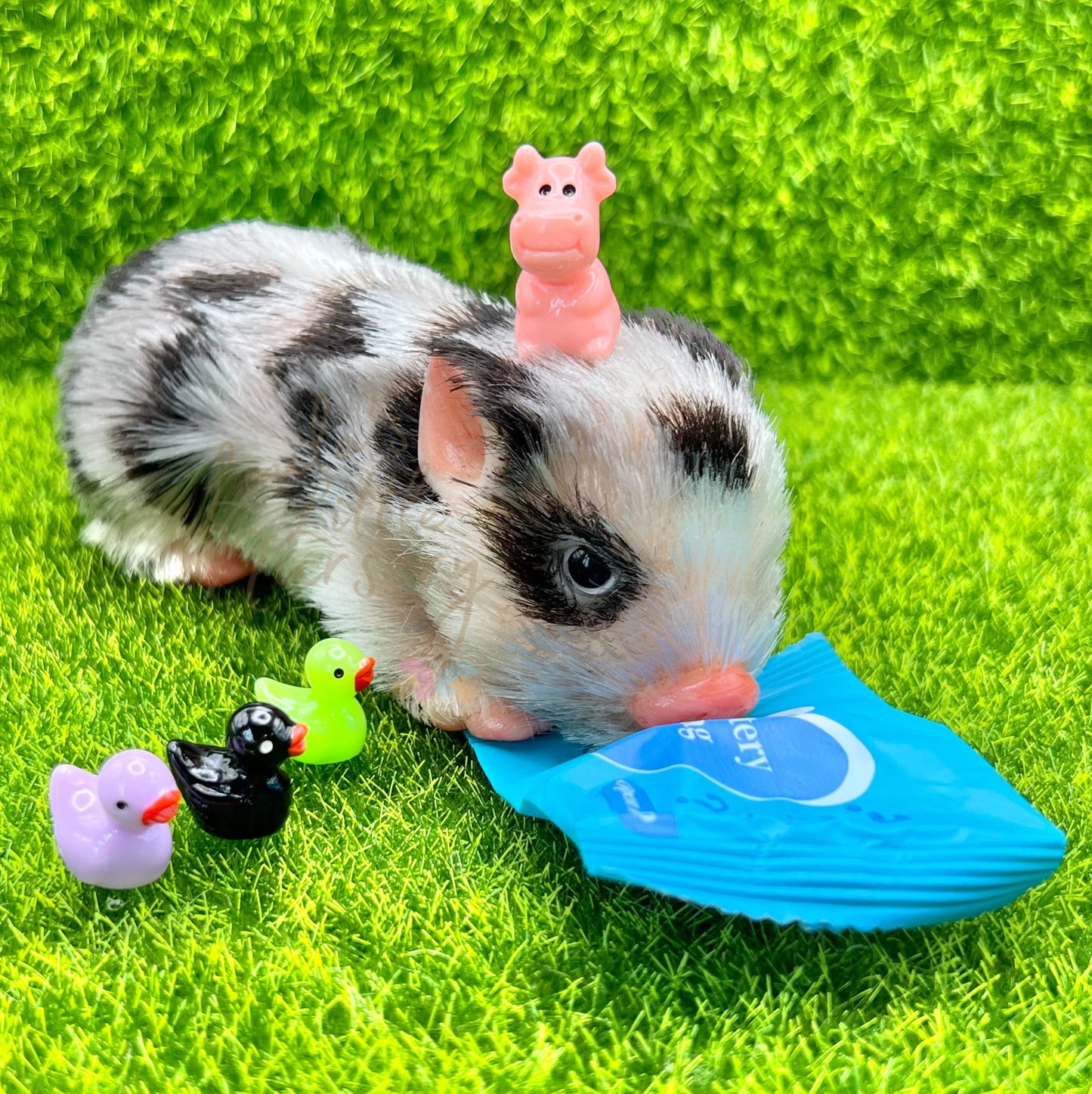 Animal Friend Mystery Bag (One Supplied)