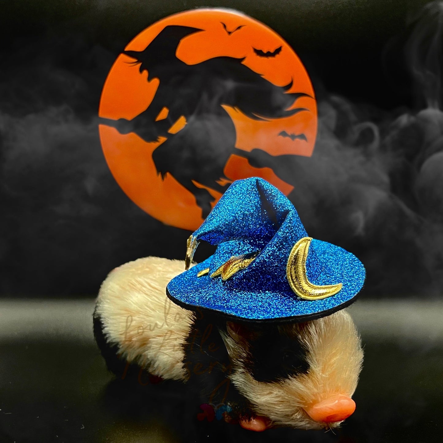 Trick Or Treat Wizard Hat