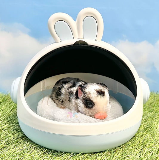 Rabbit Ears Hideout Cage