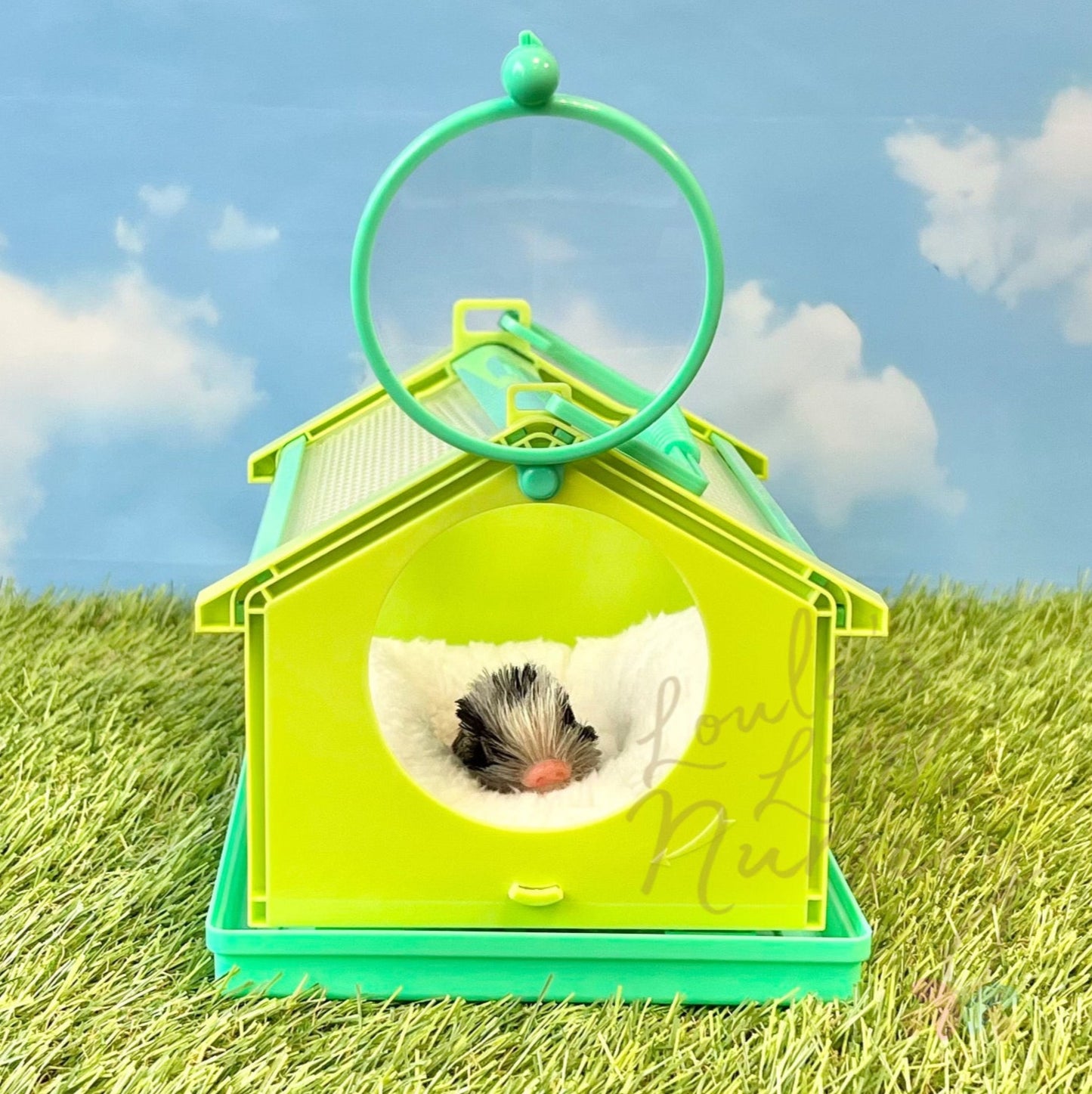Microscopic Cage For Teeny Weenie Babies®