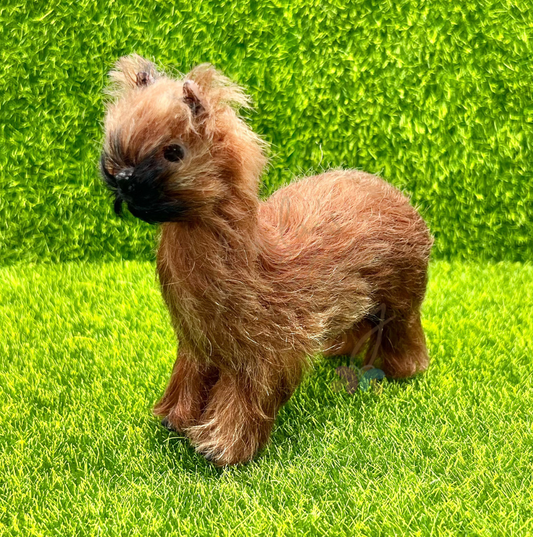 Honey The Suri Alpaca