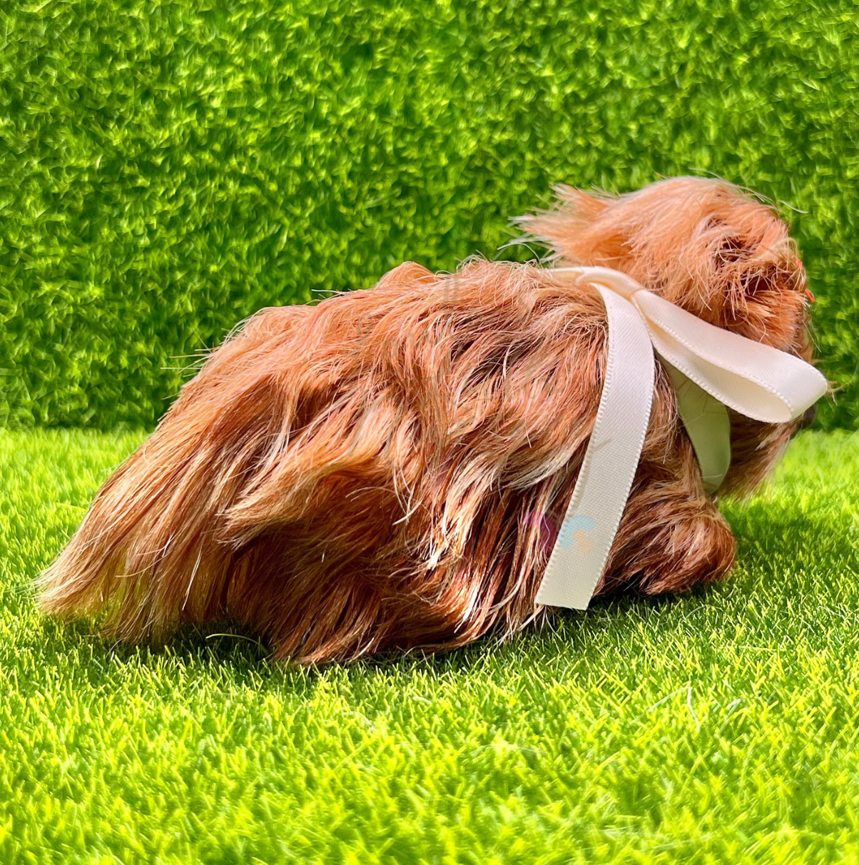 Dorothy The Highland Cow