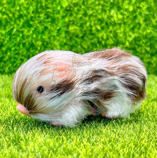 Baby Mocha Piglet - Teeny Weenie Babies Collection®