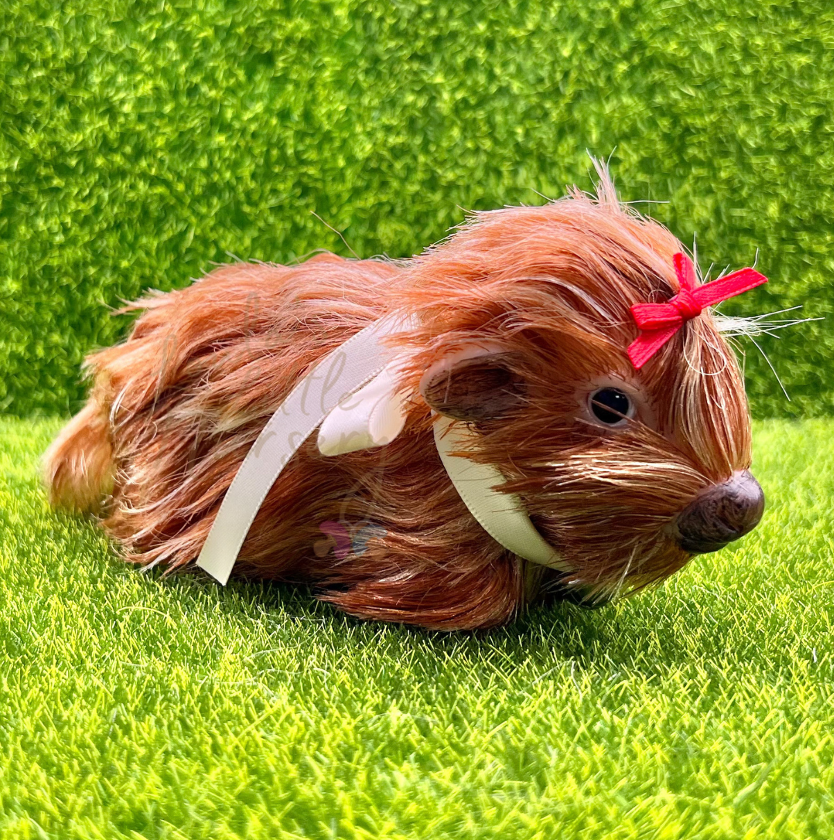 Dorothy The Highland Cow