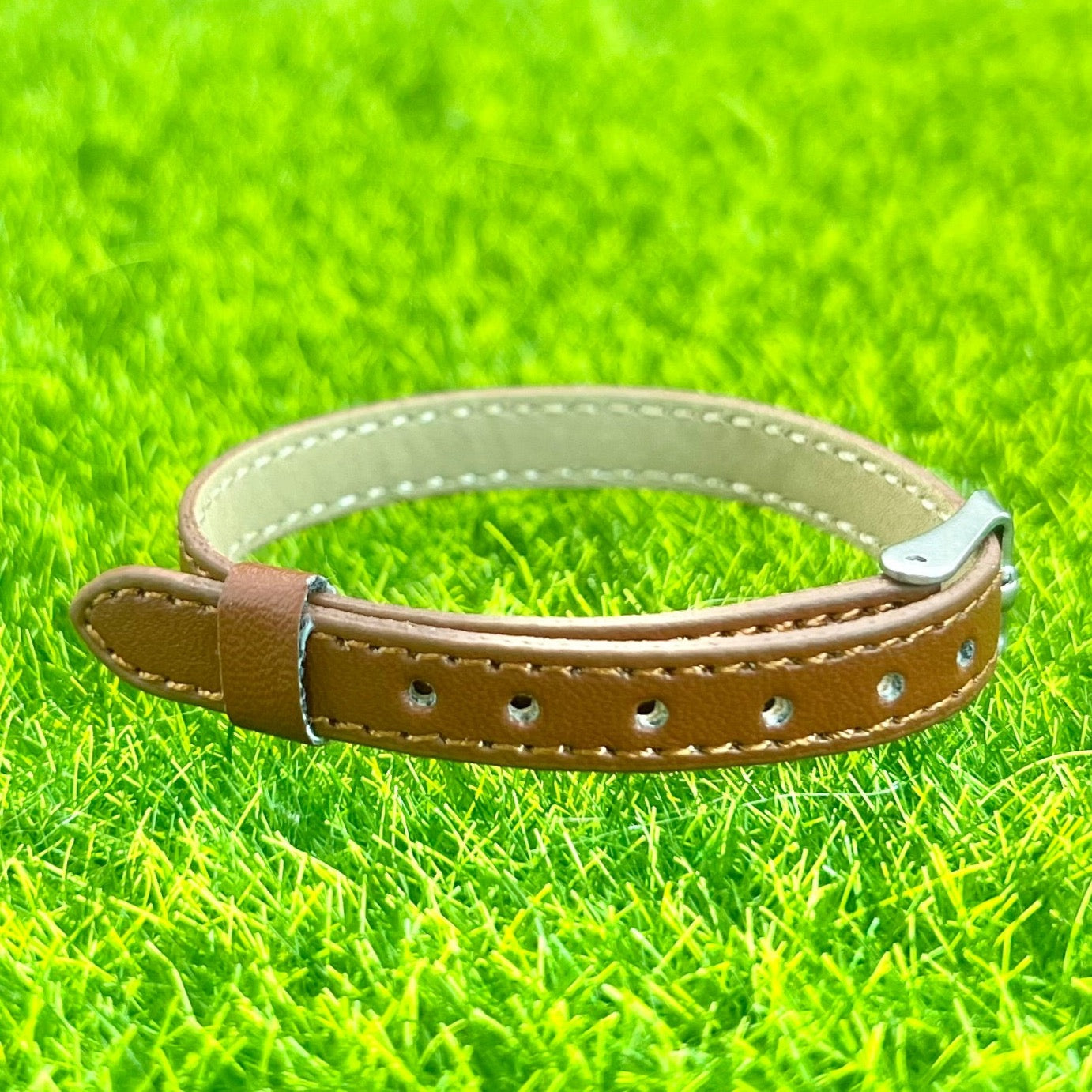 Realistic Leather Collar