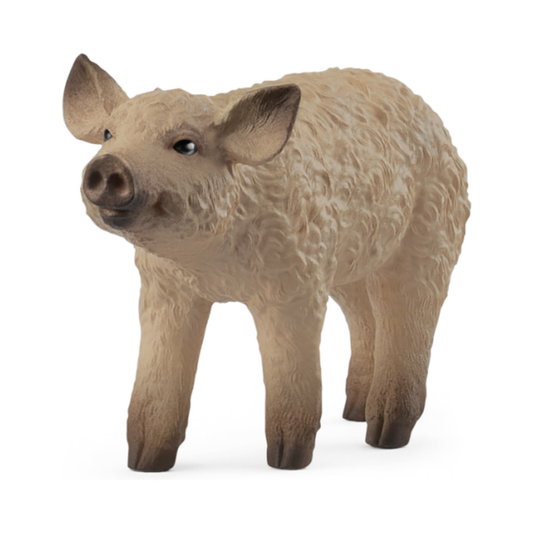 Schleich Mangalica Piglet