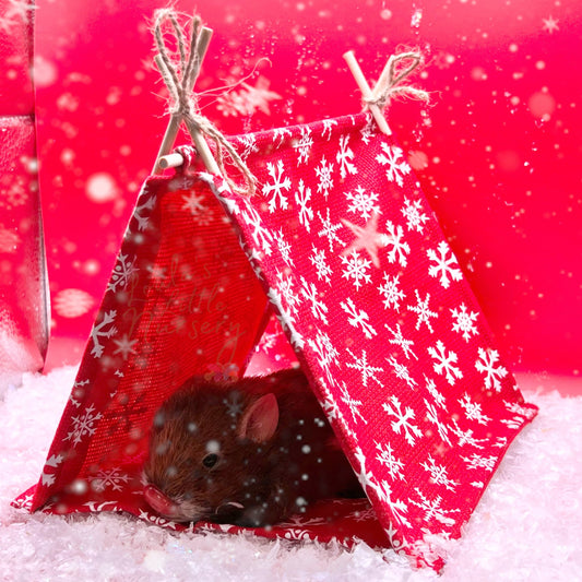 Christmas Tent House