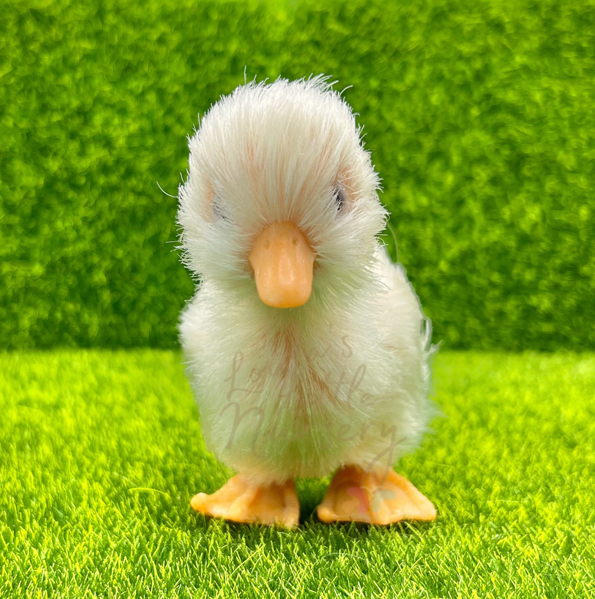 Salt The Baby Duckling With Egg Case - Silicone Animal