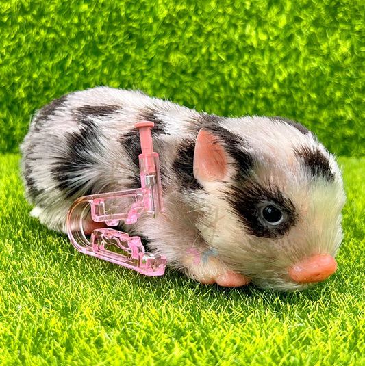 Silicone Animal Ear Piercing Service