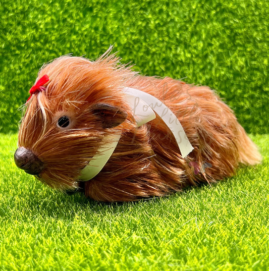 Dorothy The Highland Cow