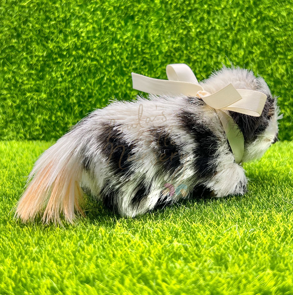 Clover The Holstein Cow