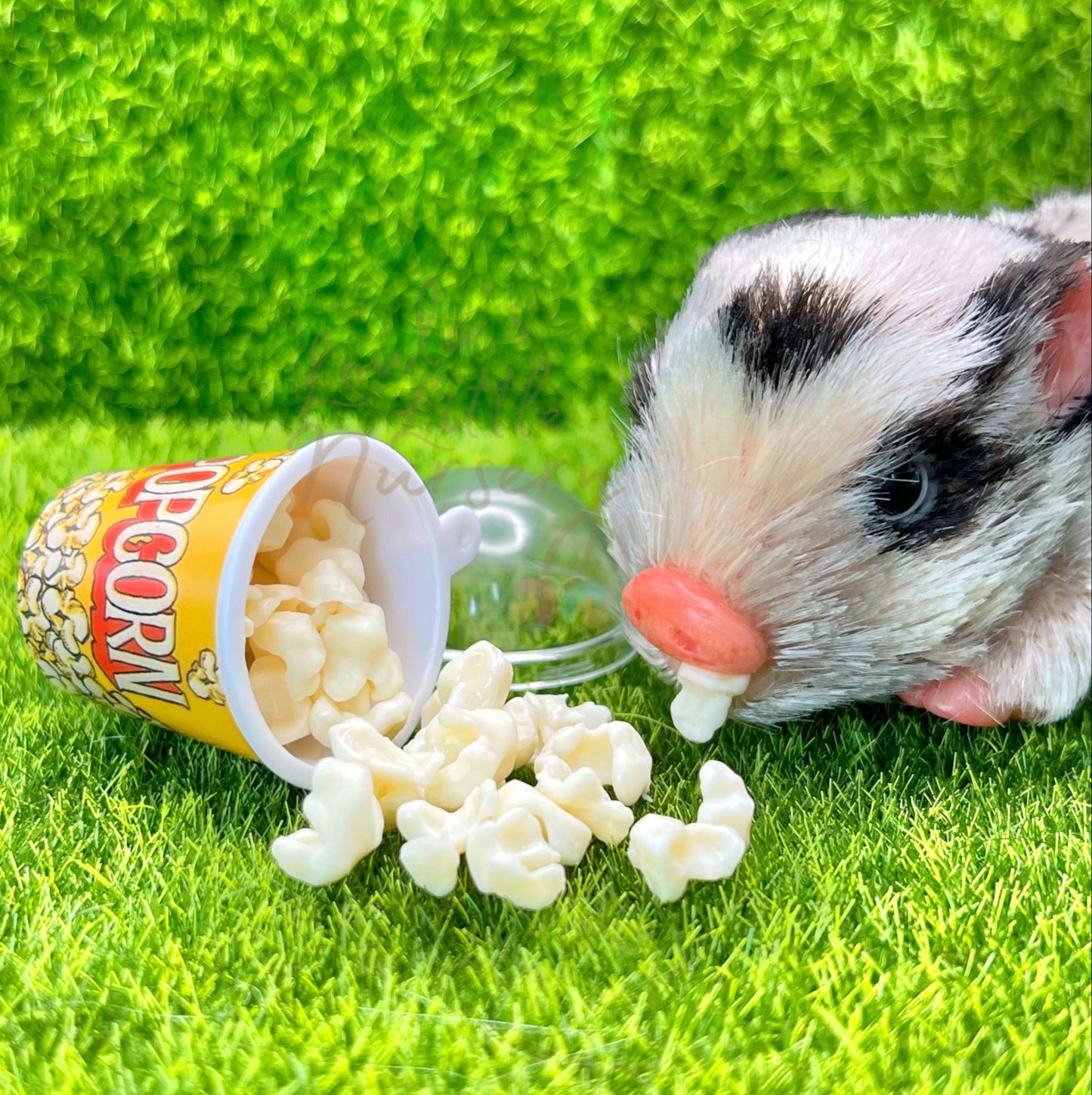 Mini Popcorn Bucket