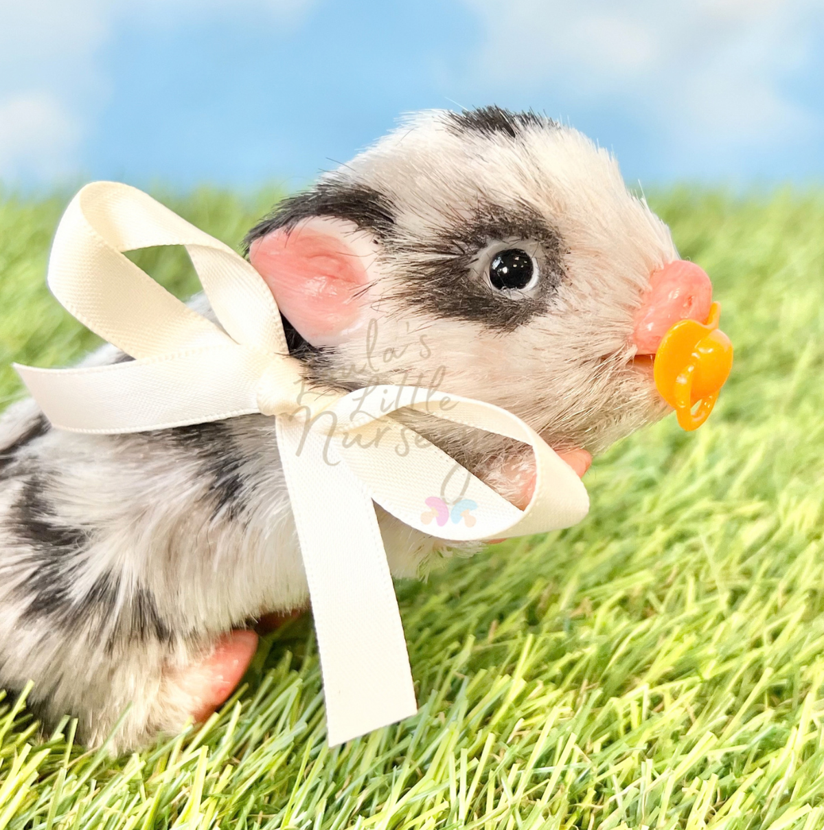Popcorn The Hulstander Silicone Bunny Rabbit