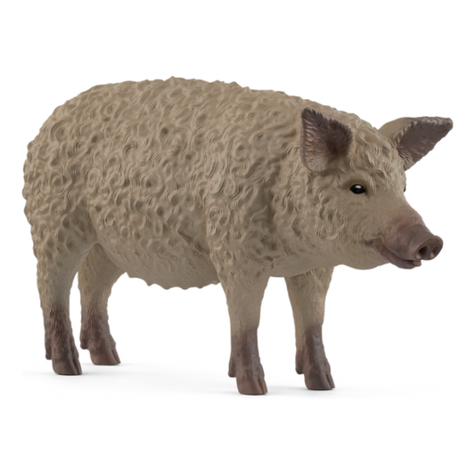 Schleich Mangalica Pig