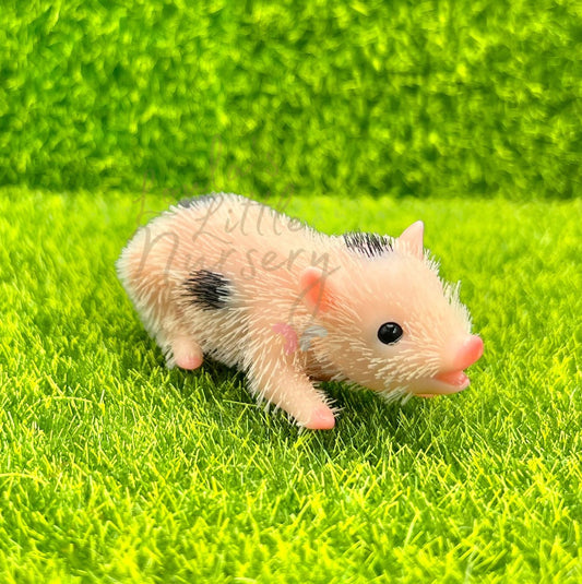 Chubby Spotty Baby Piglet