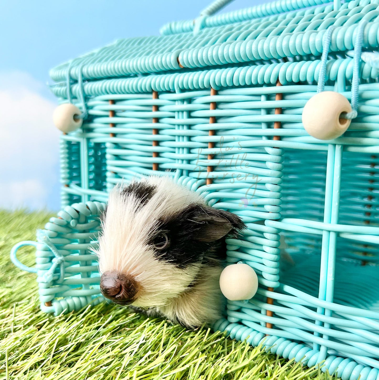 Wicker Carry House