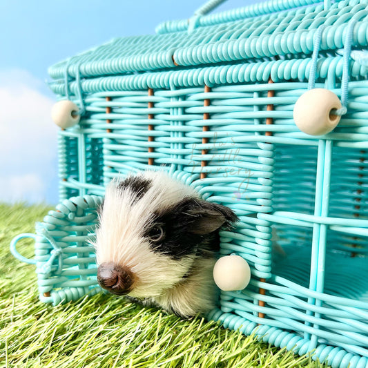 Wicker Carry House