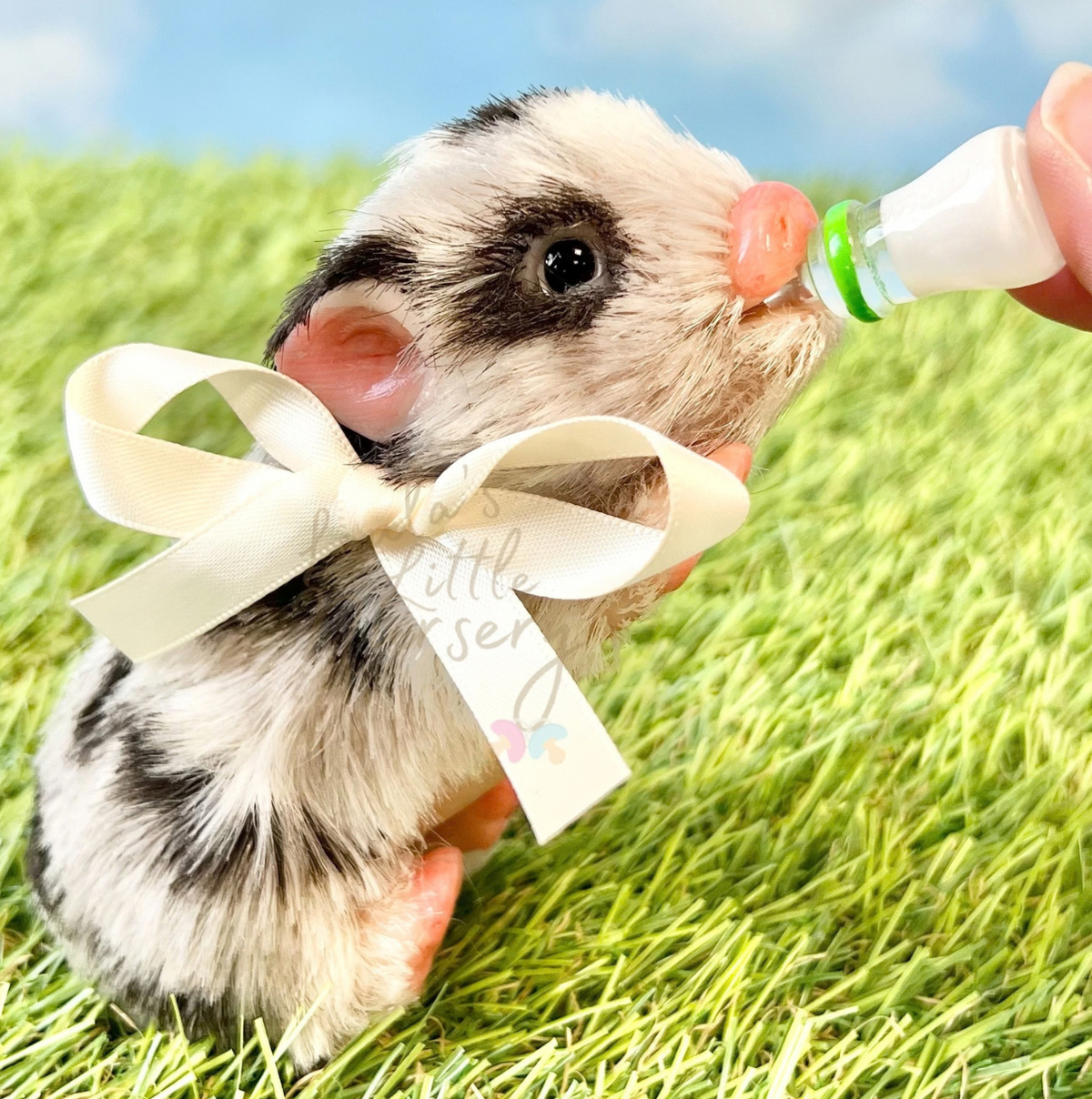 Popcorn The Hulstander Silicone Bunny Rabbit