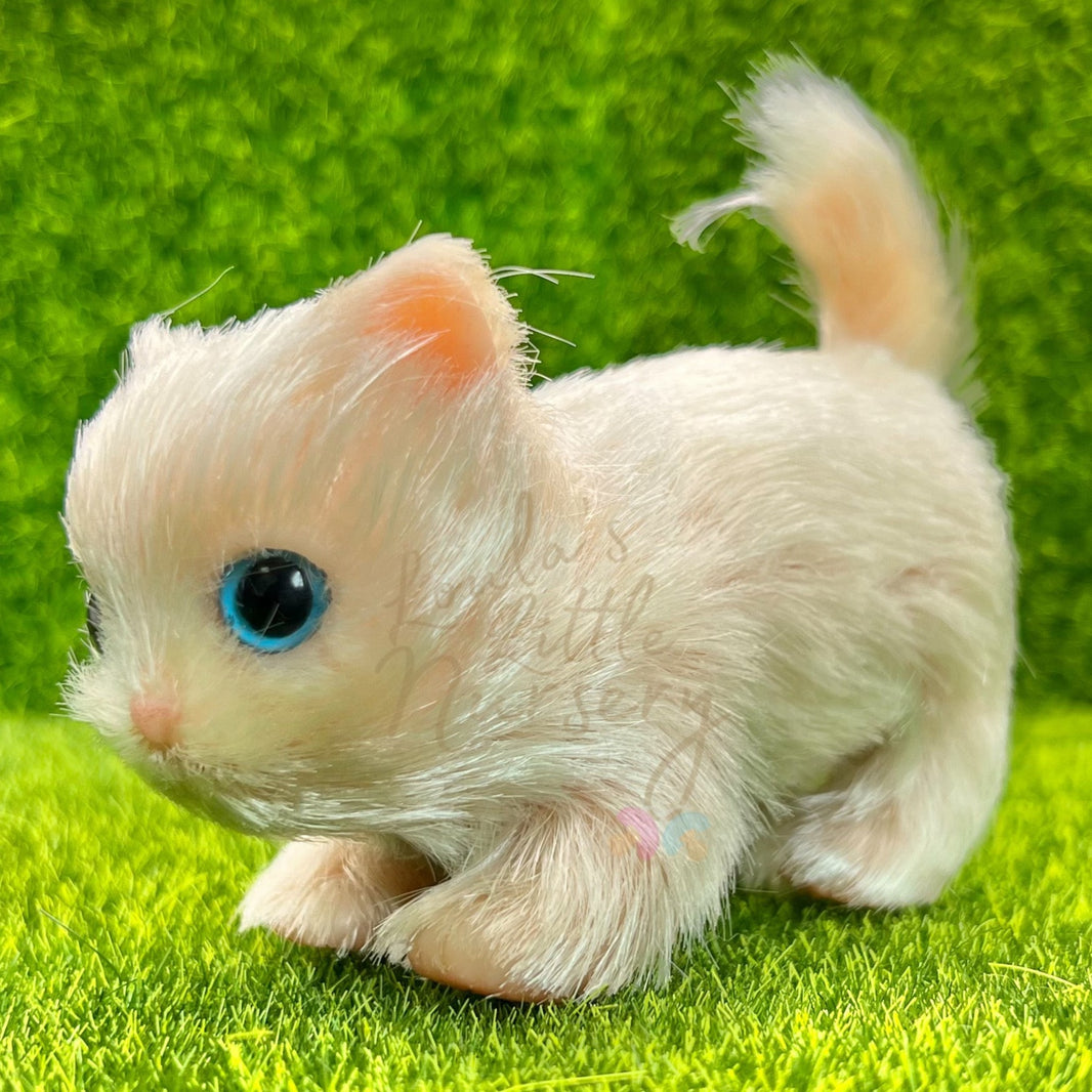 Miniature Silicone Kittens – Loula’s Little Nursery