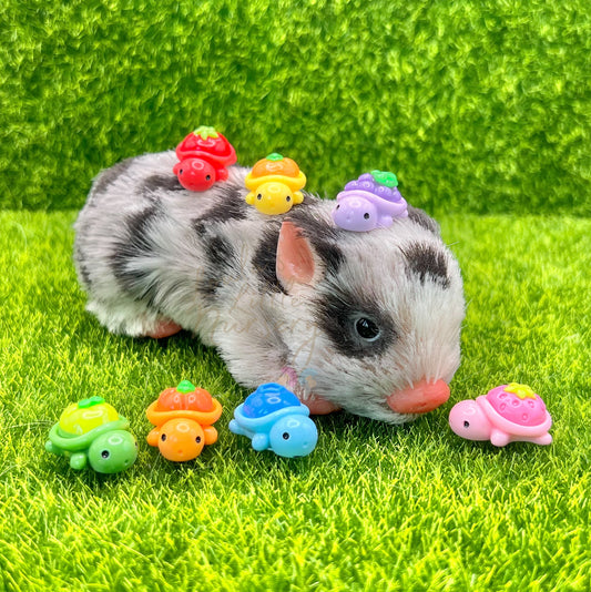 Fruit Turtle Friends Toy