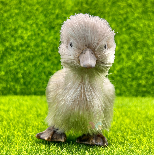 Pebble The Baby Duckling With Egg Case - Silicone Animal