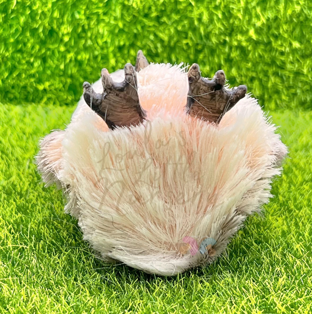 Nibbles The Silicone Baby Penguin With Egg Case