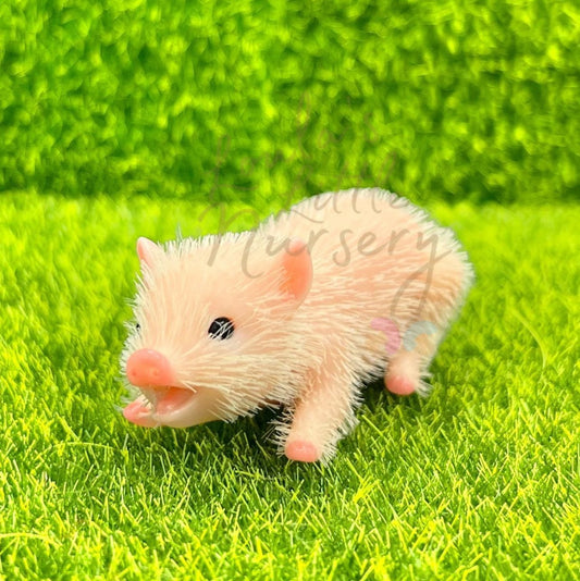 Chubby White Baby Piglet