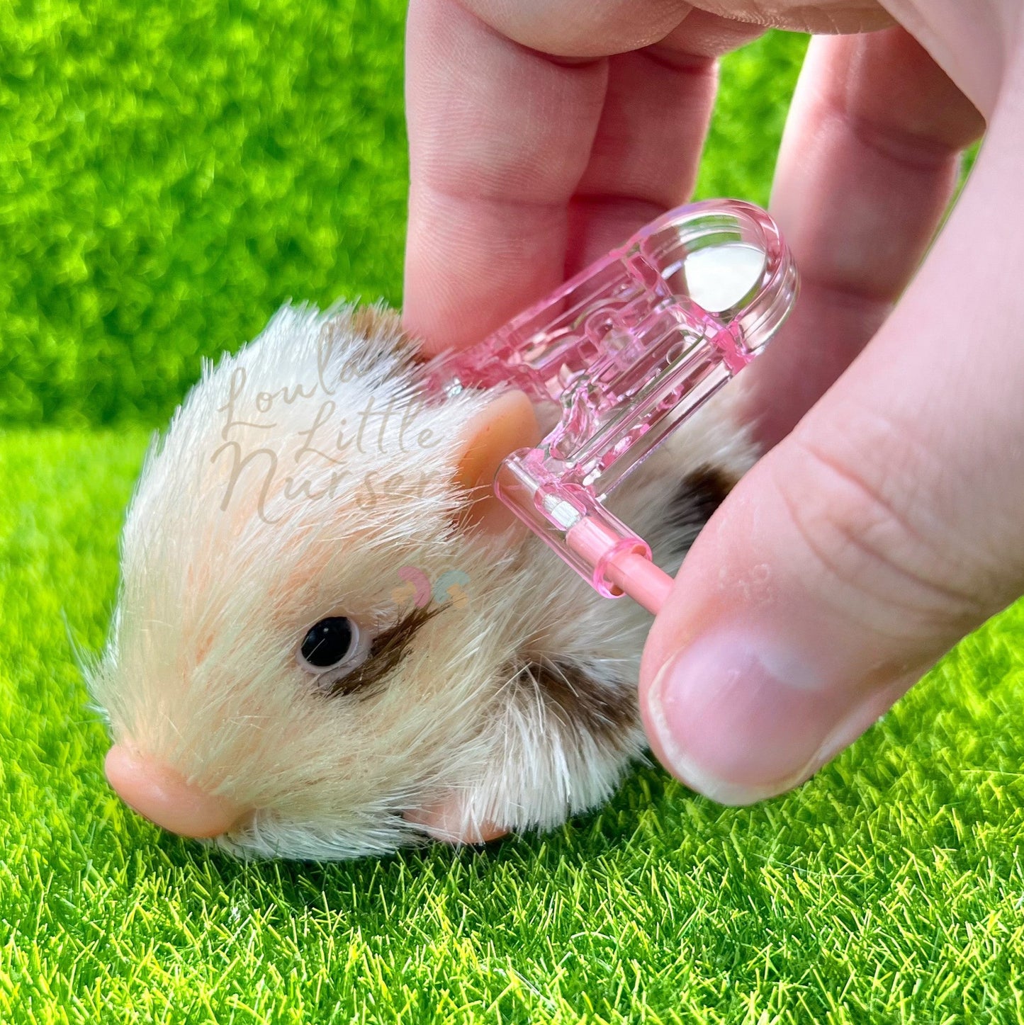 Silicone Animal Ear Piercing Service