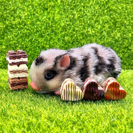 Mini Pretend Chocolates