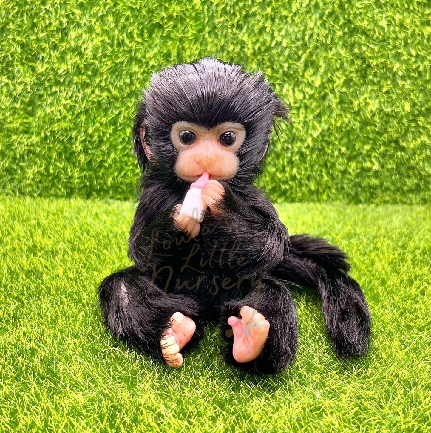 Peruvian Spider Monkey Holding Milk Bottle