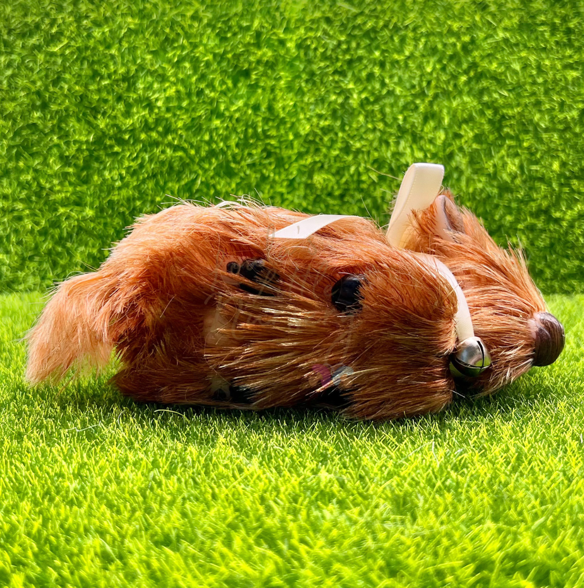 Dorothy The Highland Cow