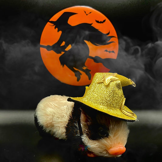 Trick Or Treat Wizard Hat