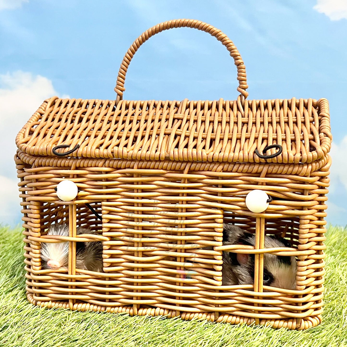 Wicker Carry House