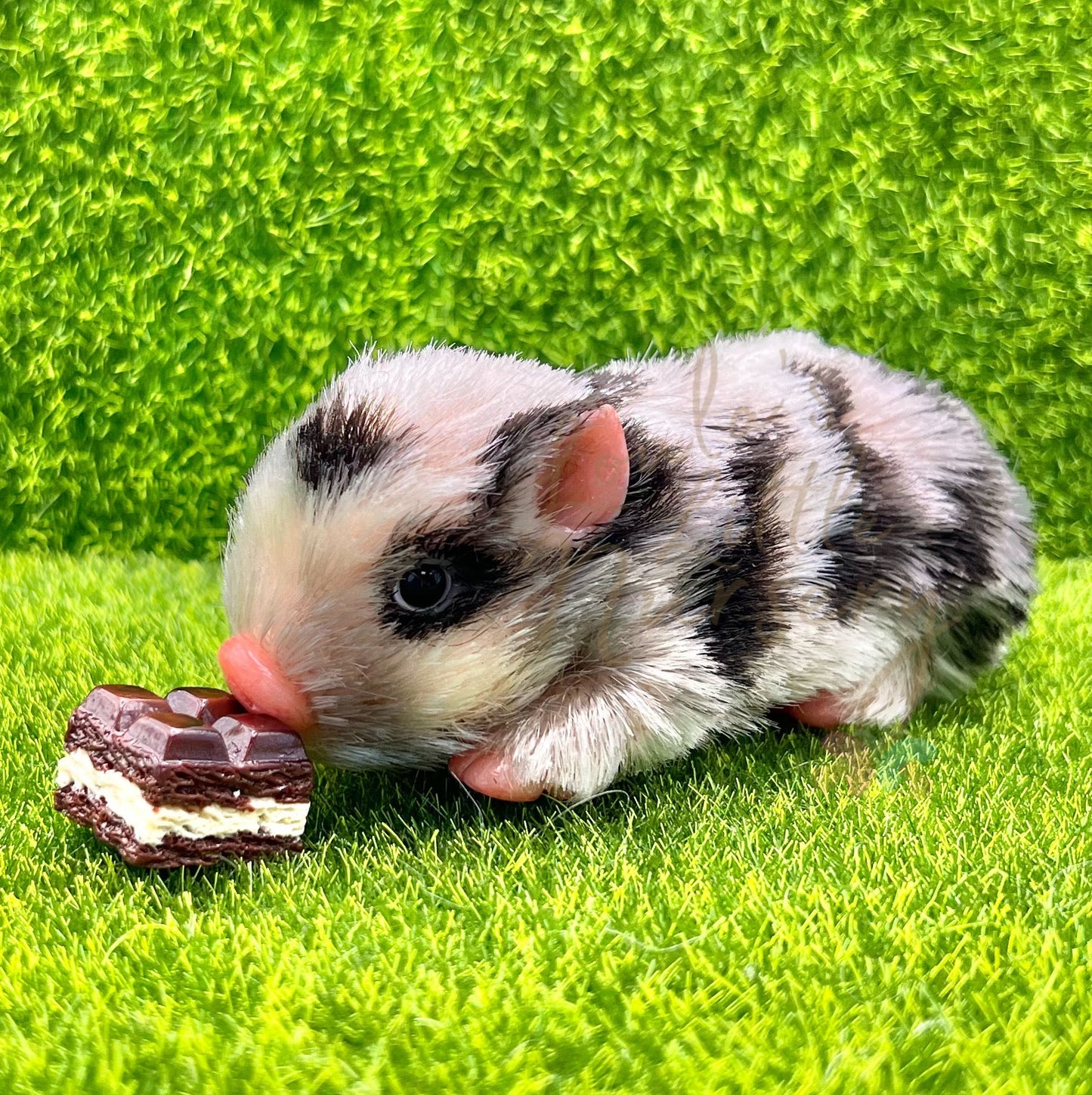 Mini Pretend Chocolates