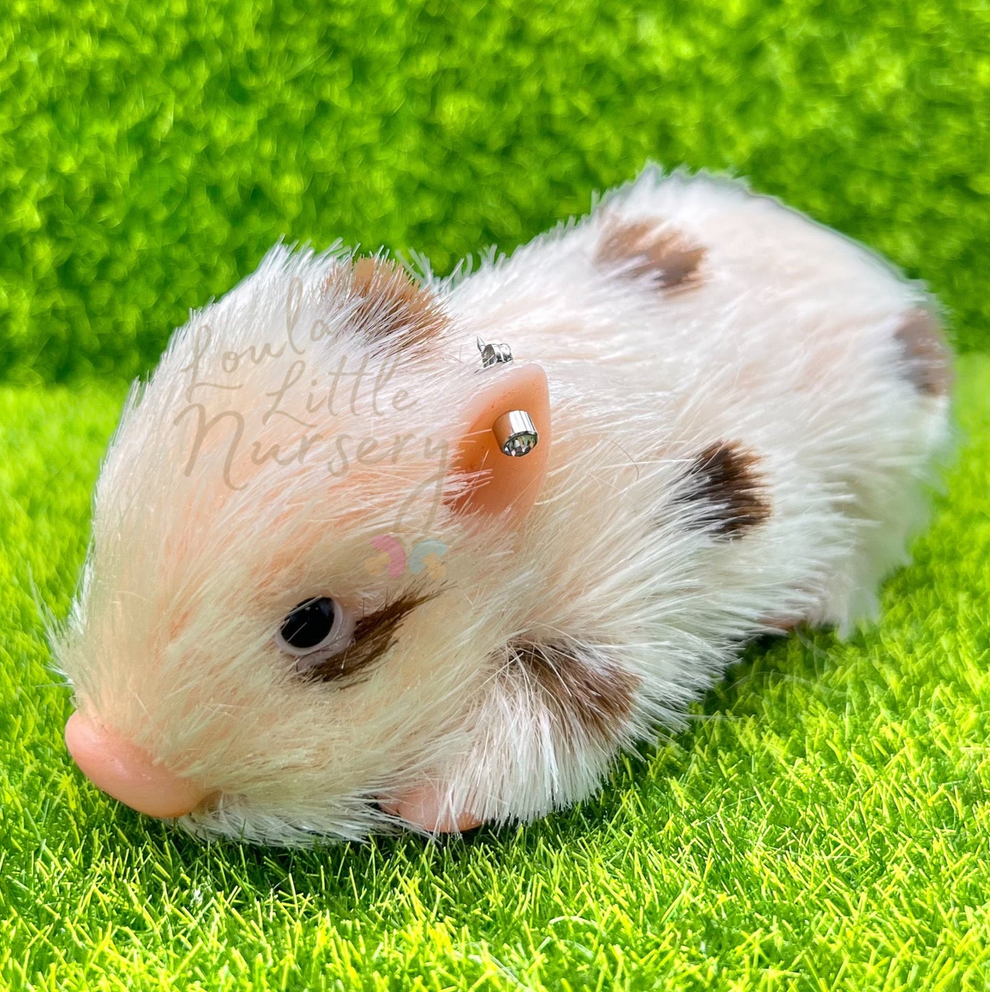 Silicone Animal Ear Piercing Service