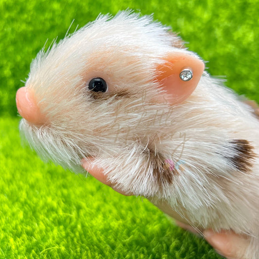 Silicone Animal Ear Piercing Service