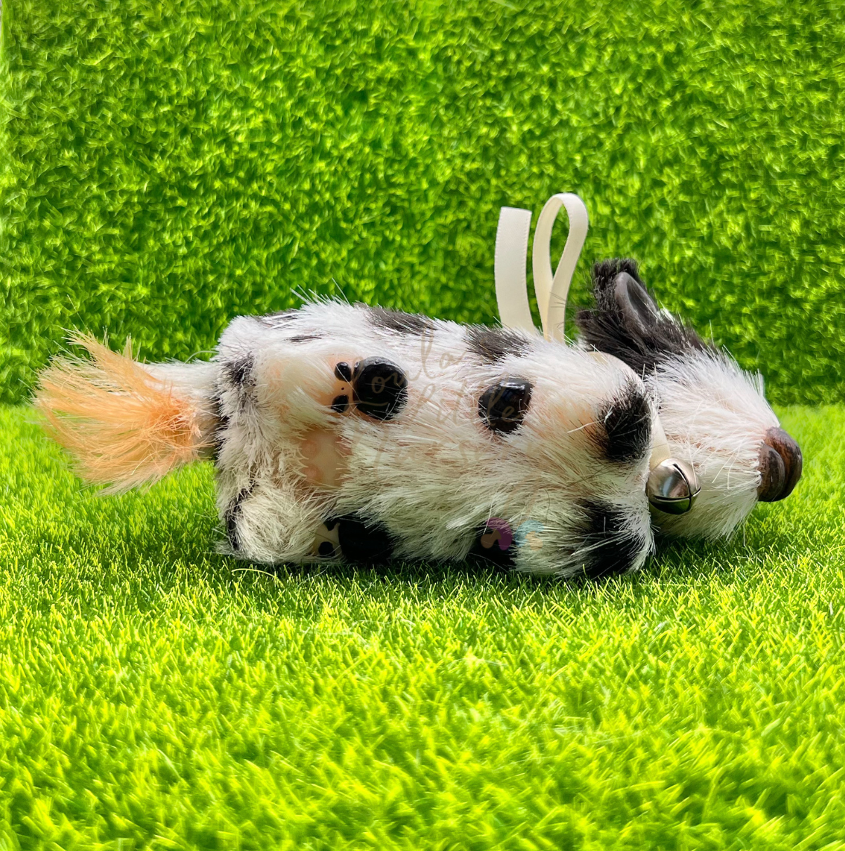 Clover The Holstein Cow