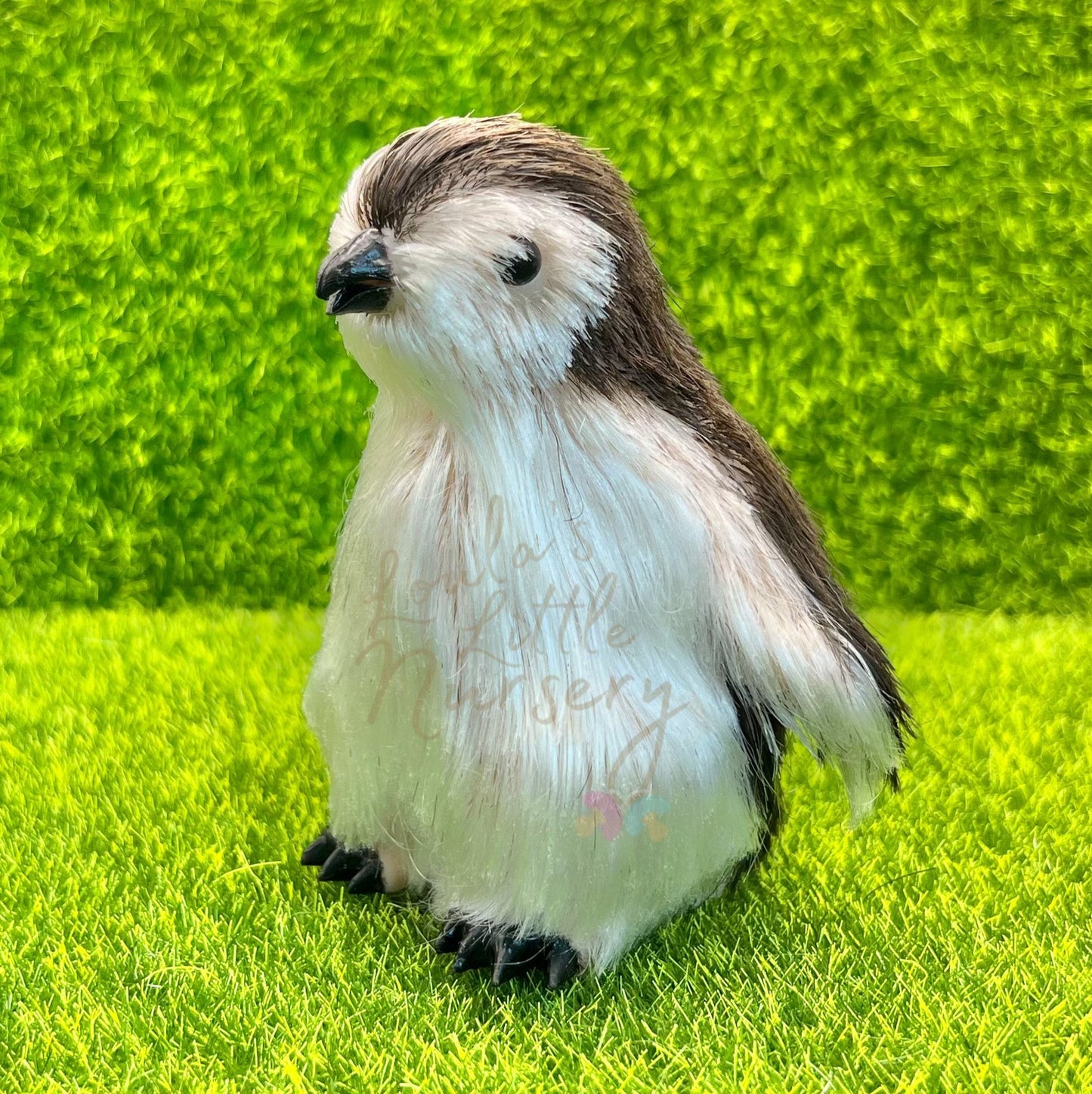 Pip The Baby Penguin