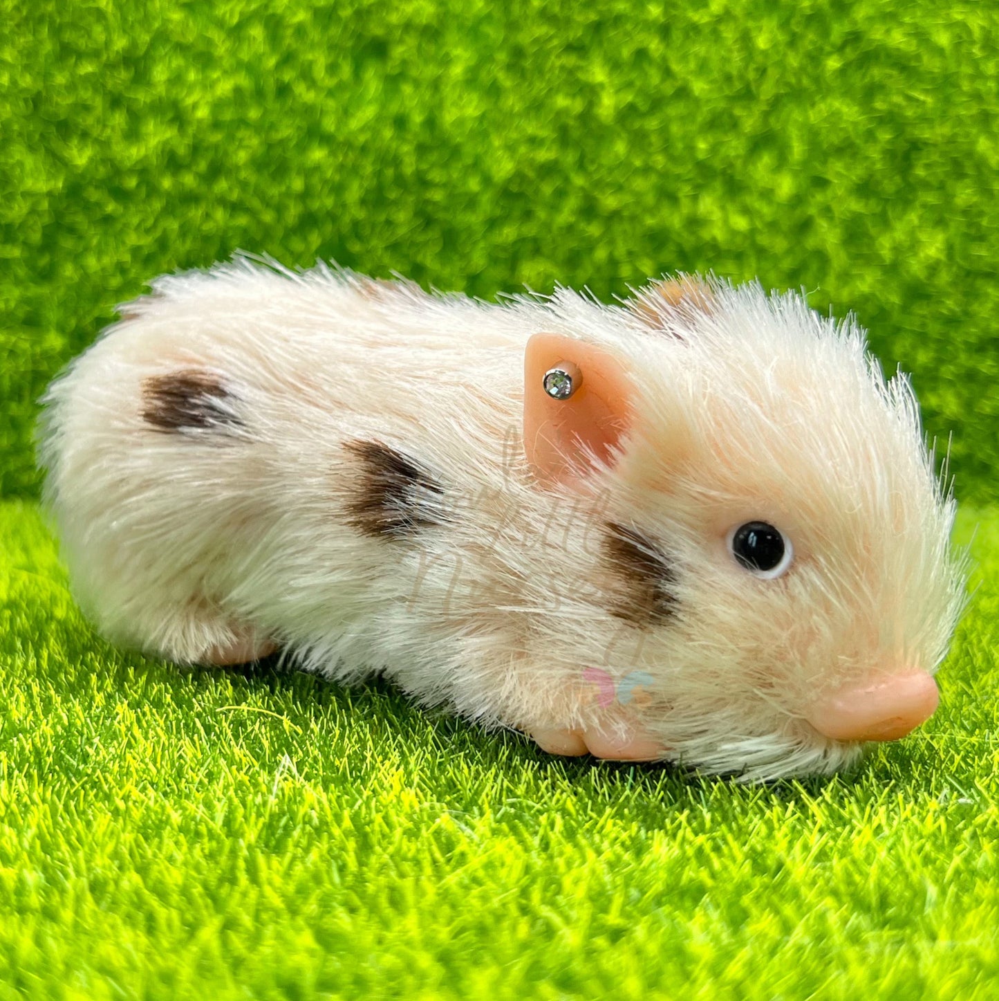 Silicone Animal Ear Piercing Service