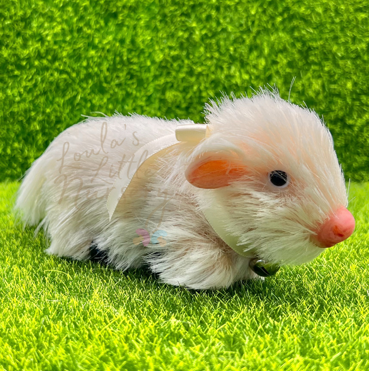 Marshmallow The Charolais Cow