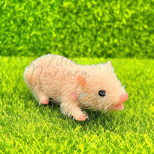 Chubby White Baby Piglet