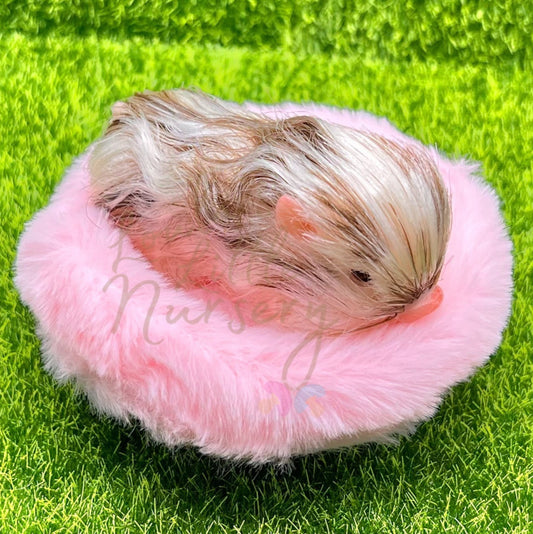 Mini Fluffy Bed For Teeny Weenie Babies®